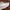 LANVIN Casual Sneakers Pria white photo 6