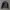 Grunge Casual Denim jacket Pria black photo 3