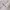 Futurist Casual Casual shirt Pria white photo 6
