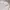 Futurist Casual Casual shirt Pria white photo 5