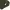 SUARE Minimalist Casual Polo shirt Pria green photo 4