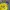 Puma Sportswear Jersey Pria yellow photo 3