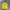 Puma Sportswear Jersey Pria yellow photo 1