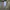 Blackyak Sportswear Parka Kids tan photo 8