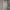 Blackyak Sportswear Parka Kids tan photo 4