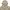 Blackyak Sportswear Parka Kids tan photo 3