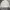 Vintage Casual Windbreaker Pria gray photo 3