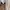 Adidas Streetwear Sweater Pria white photo 4