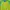 Sportswear Outerwear Kids green blue photo 4