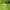 Sportswear Outerwear Kids green blue photo 8
