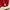 Adidas Casual Track jacket Pria red photo 3