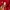 Adidas Casual Track jacket Pria red photo 2