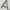 Billionaire Boys Club Streetwear Hoody Pria Cream