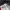 Converse Streetwear Sportswear Tracksuit Pria white navy red black blue yellow photo 7