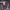 Nike Gorpcore Casual Windbreaker Pria red black photo 2