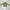 H&M Vintage Casual Parka Pria Green