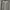 Adidas Sportswear Short Pria white photo 6