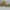 Fear of God ESSENTIALS Sportswear Casual Sneakers Pria multicolor gold silver purple burgundy white green tan navy red pink brown khaki black orange gray cream blue yellow photo 5