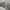 Adidas Streetwear Casual Sneakers Pria multicolor gold silver purple burgundy white green tan navy red pink brown khaki black orange gray cream blue yellow photo 8