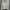 Casual Sweater Wanita white photo 2