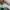 Adidas Streetwear Casual Sneakers Pria multicolor gold silver purple burgundy white green tan navy red pink brown khaki black orange gray cream blue yellow photo 8