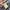 8seconds Casual Casual trouser Wanita multicolor photo 3