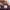 Adidas Sportswear Casual Sneakers Pria multicolor gold silver purple burgundy white green tan navy red pink brown khaki black orange gray cream blue yellow photo 8