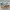 Nike Streetwear Sportswear Sneakers Pria multicolor gold silver purple burgundy white green tan navy red pink brown khaki black orange gray cream blue yellow photo 4