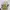 Yeezy Sportswear Casual Sneakers Pria multicolor gold silver purple burgundy white green tan navy red pink brown khaki black orange gray cream blue yellow photo 5