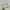Yeezy Sportswear Casual Sneakers Pria multicolor gold silver purple burgundy white green tan navy red pink brown khaki black orange gray cream blue yellow photo 4
