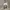 Adidas Casual Sneakers Pria white photo 2