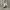 Adidas Casual Sneakers Pria white photo 1
