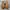 New Balance Casual Sneakers Pria tan gray photo 4