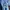 Polo Ralph Lauren Casual T-shirt Pria blue photo 5