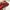 Jill Stuart Luxury Minimalist Tas dompet Wanita red photo 5