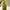 Futurist Hobo bag Wanita yellow photo 7