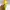 Futurist Hobo bag Wanita yellow photo 6