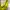 Futurist Hobo bag Wanita yellow photo 5