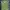 Vintage Casual Vest Wanita white green photo 1