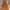 Casual Summer dress Wanita gold orange photo 1