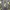 Streetwear Jeans Pria gray photo 1