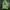 Jeep Streetwear Sweatshirt Pria green photo 2