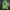Jeep Streetwear Sweatshirt Pria Green