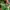 Jeep Streetwear Sweatshirt Pria green photo 7