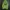 Jeep Streetwear Sweatshirt Pria green photo 1