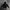 Dickies Casual Hoody Pria black photo 1