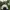 Salomon Gorpcore Sportswear Hat Pria white blue photo 3