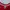 Supreme Vintage Luxury T-shirt Pria red photo 6