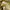 Vintage Casual Suit Pria gold photo 3