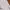 niko and ... Casual Formal shirt Pria white photo 6